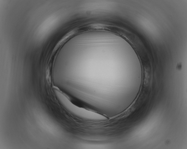 X0000090871198200708241914