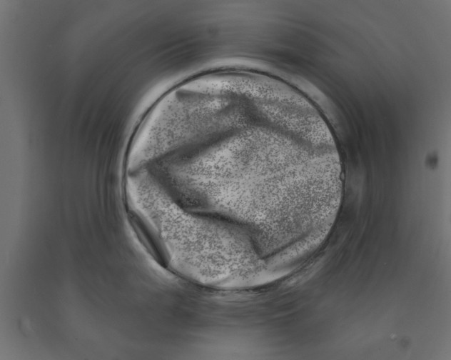 X0000090871199200708241914