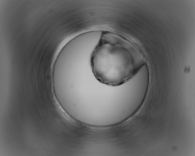 X0000090871200200708241913