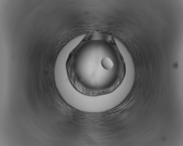 X0000090871202200708241913