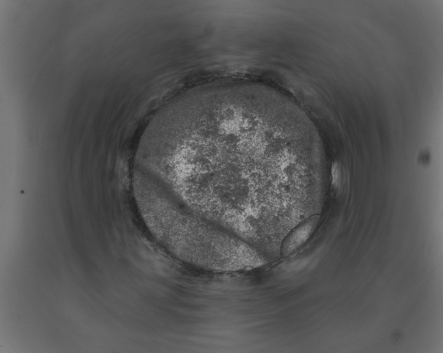 X0000090871203200708241913