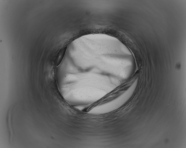 X0000090871204200708241913