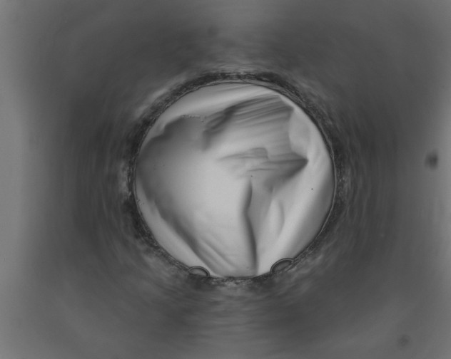 X0000090871205200708241913