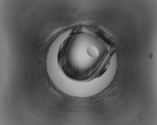 X0000090871206200708241913