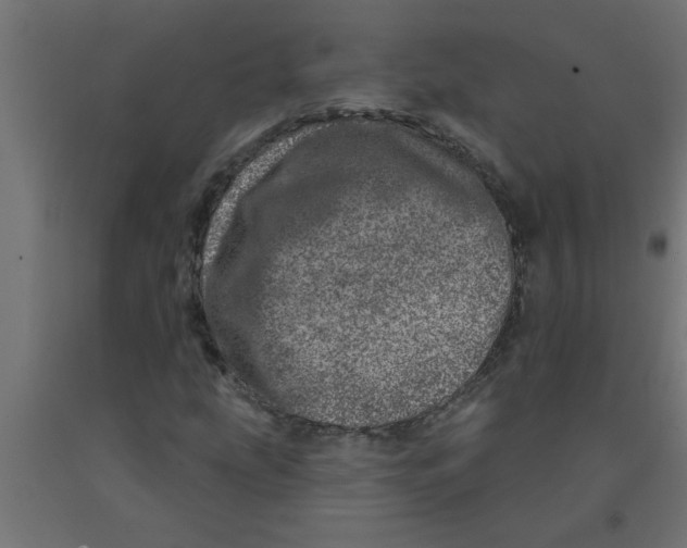 X0000090871207200708241913