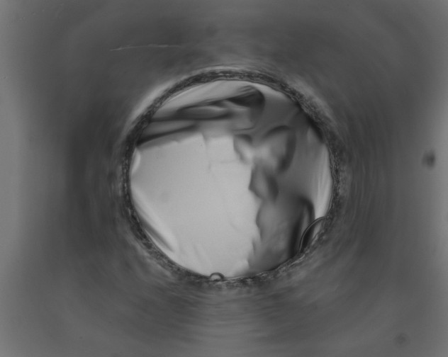 X0000090871208200708241913