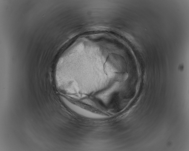 X0000090871209200708241913