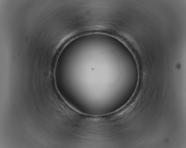 X0000090871210200708241913