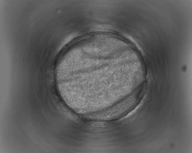 X0000090871211200708241913