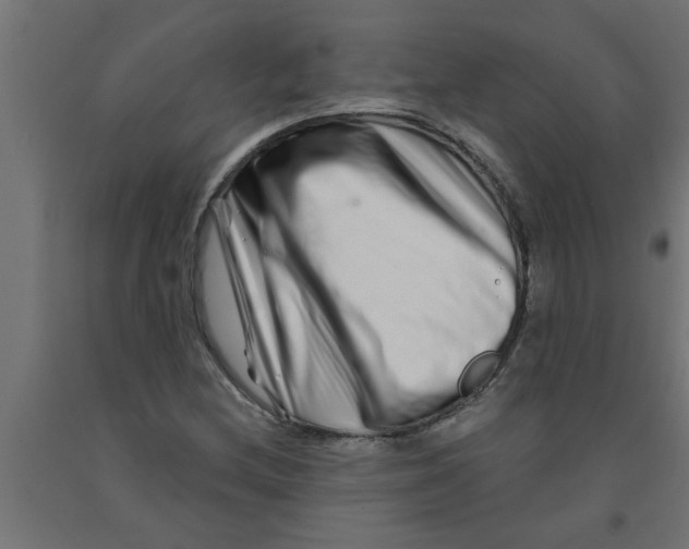 X0000090871212200708241913