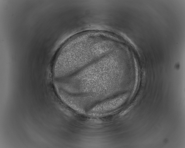 X0000090871215200708241913