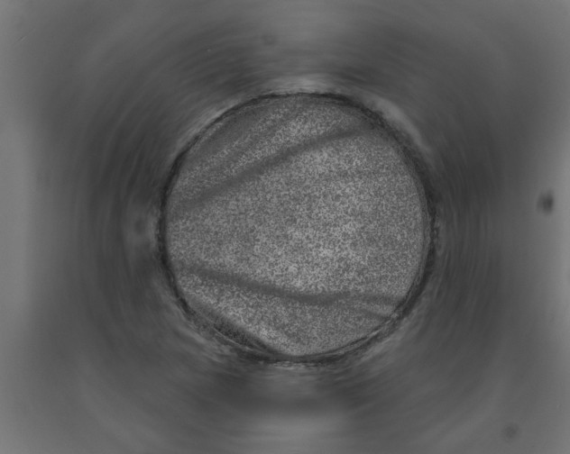 X0000090871217200708241913