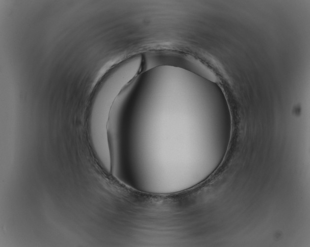 X0000090871218200708241913