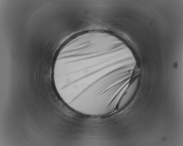 X0000090871220200708241913