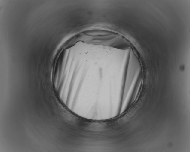 X0000090871224200708241913