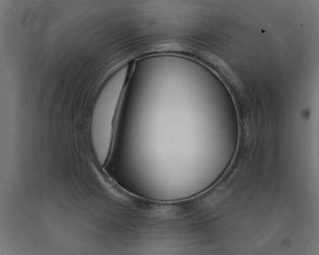 X0000090871225200708241913