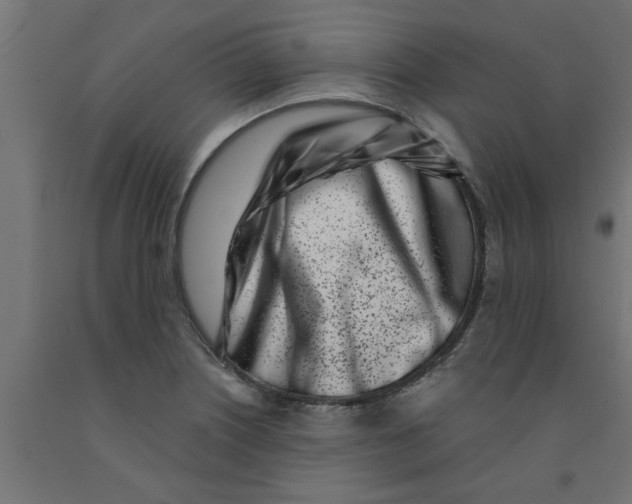 X0000090871226200708241913