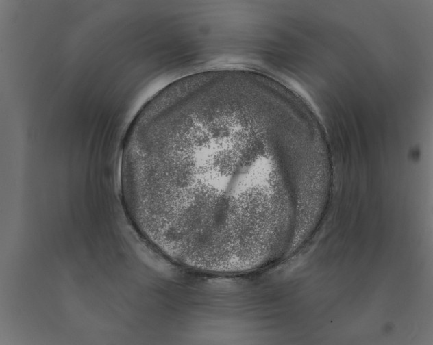 X0000090871227200708241913