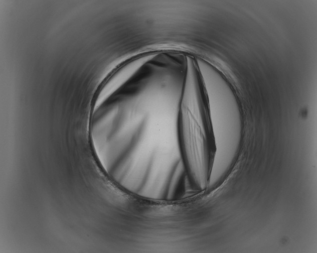 X0000090871228200708241913