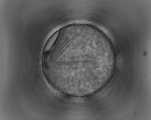 X0000090871229200708241913