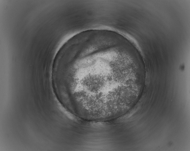 X0000090871231200708241913