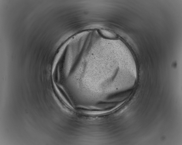 X0000090871233200708241913