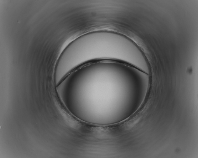 X0000090871234200708241913