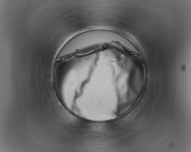 X0000090871236200708241913