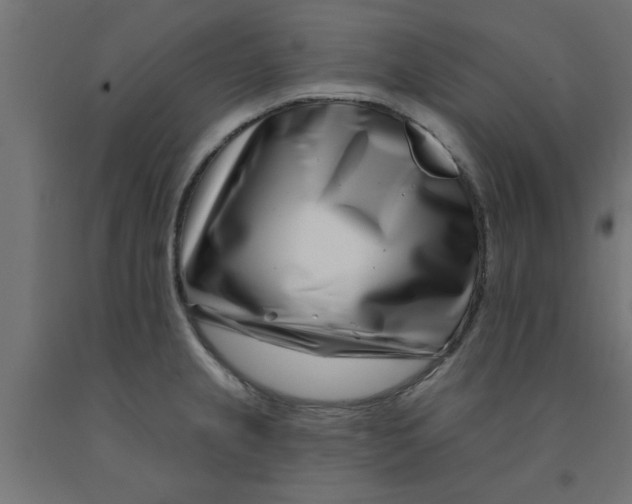 X0000090871237200708241913