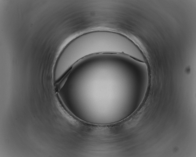 X0000090871238200708241913