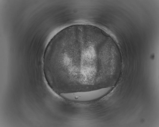 X0000090871239200708241913