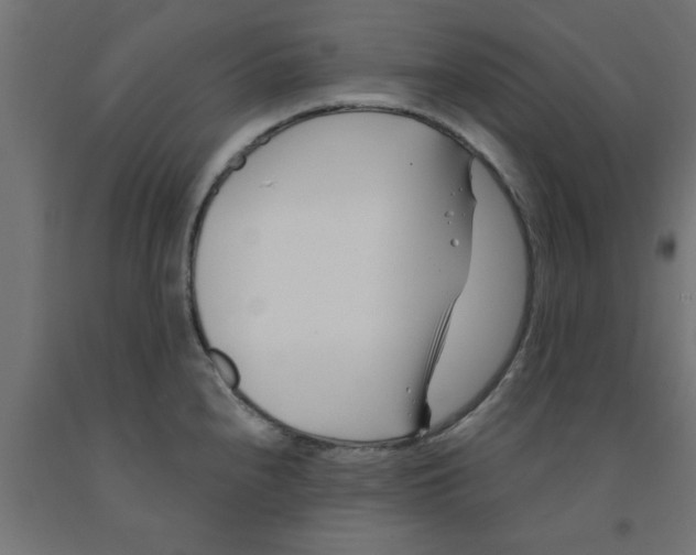 X0000090871240200708241913