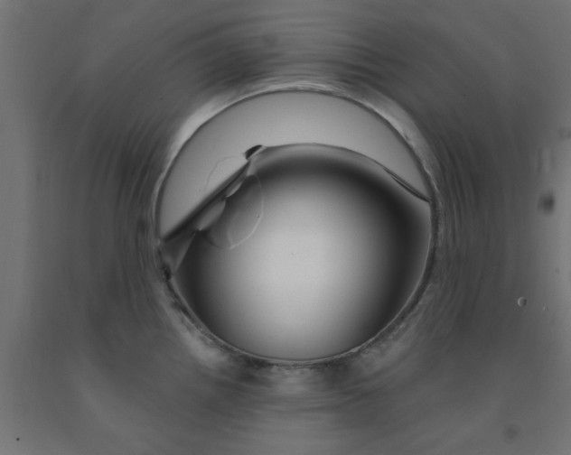 X0000090871242200708241913