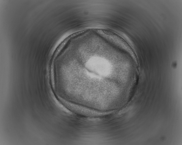 X0000090871243200708241913