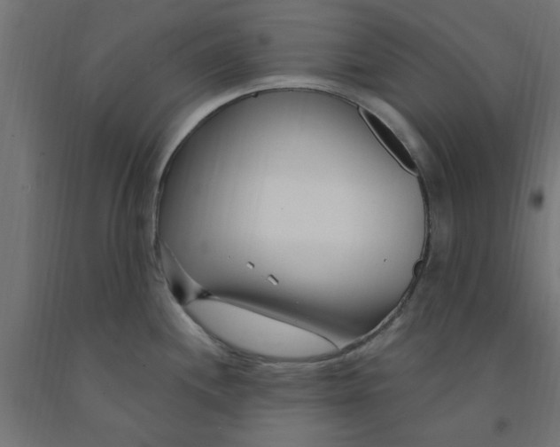 X0000090871244200708241913