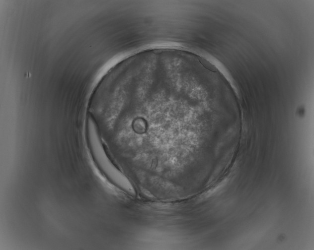 X0000090871245200708241913