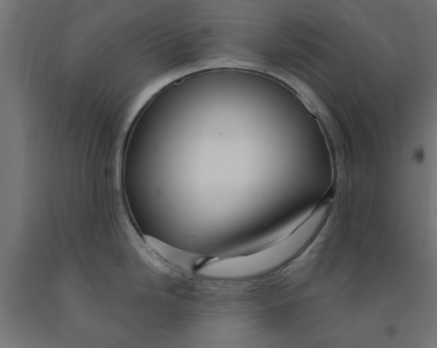 X0000090871246200708241913