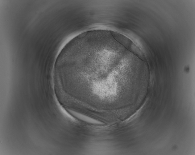 X0000090871247200708241913