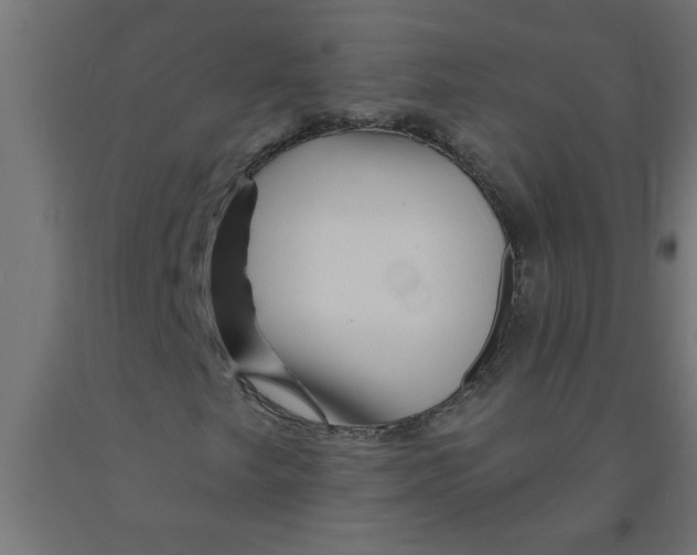 X0000090871249200708241913