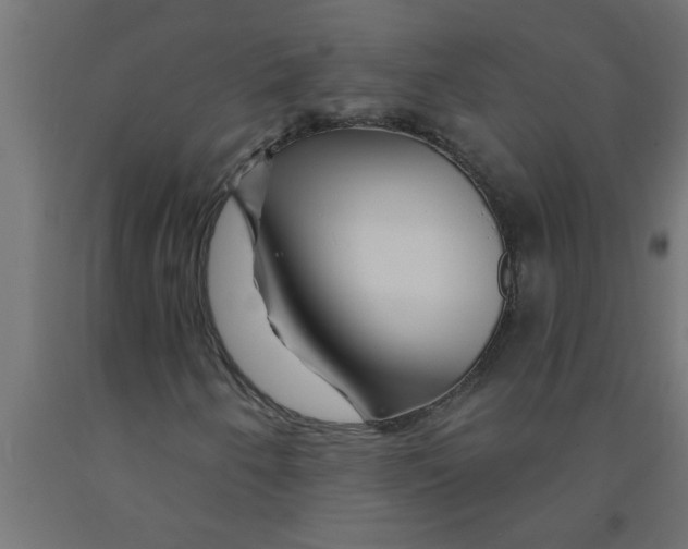 X0000090871250200708241913