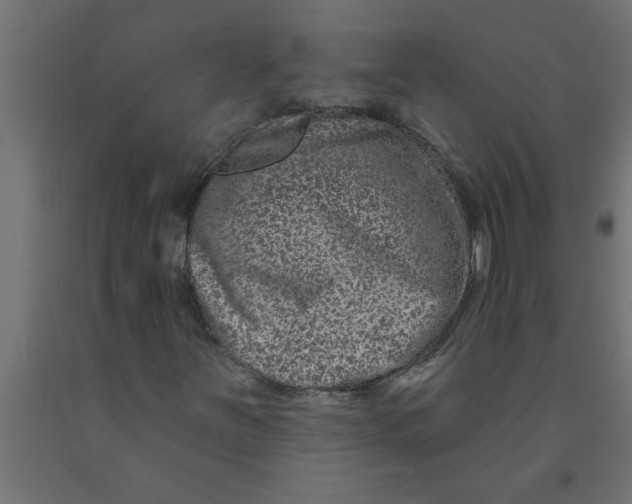 X0000090871251200708241913