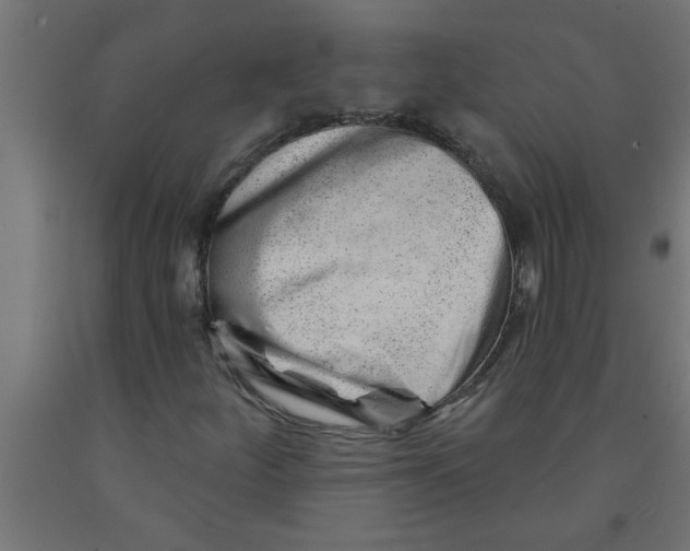 X0000090871252200708241913