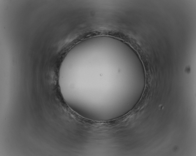 X0000090871253200708241913