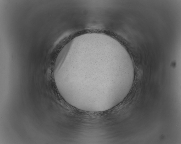 X0000090871254200708241913