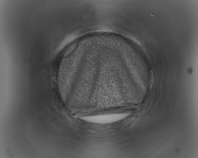 X0000090871255200708241913