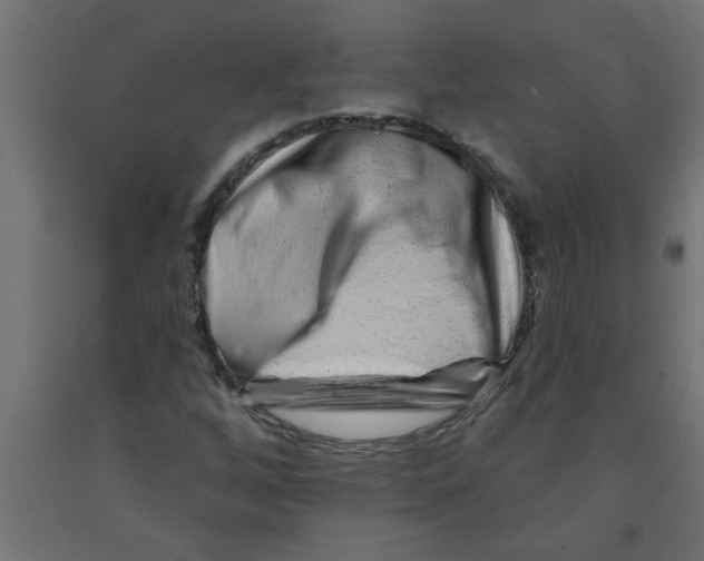 X0000090871256200708241913