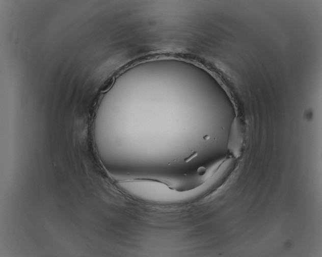 X0000090871257200708241913