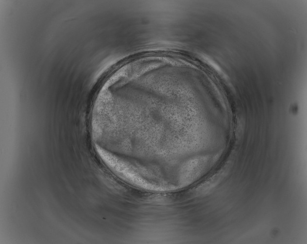 X0000090871259200708241913