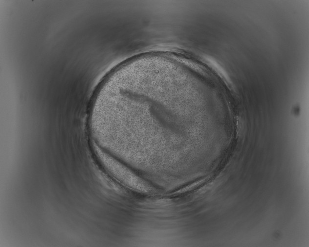 X0000090871260200708241913