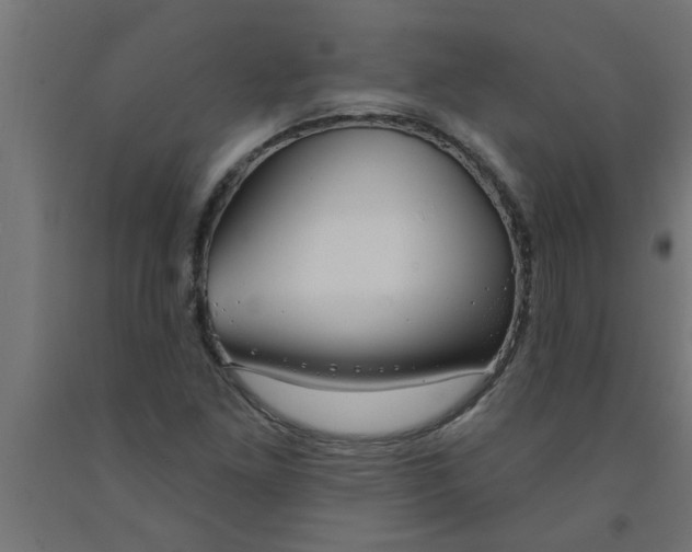 X0000090871261200708241913